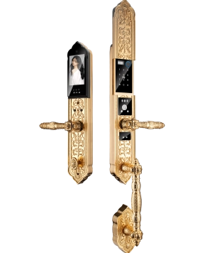 KHÓA CỬA ĐIỆN TỬ HUBERT HB DSI8F EU (FACE ID) – GOLD