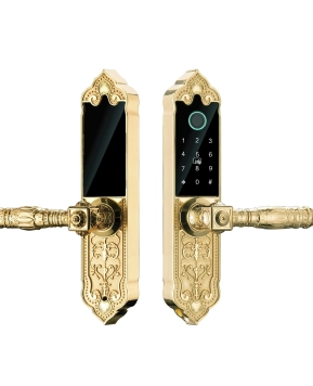 KHÓA CỬA ĐIỆN TỬ HUBERT HB DS79 GOLD MINI