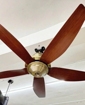 Quạt trần QViFa 437 VT210625