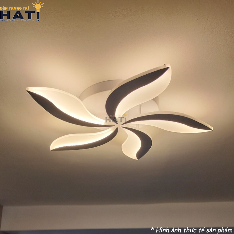 5 CÁNH LÔNG MÀY D600	